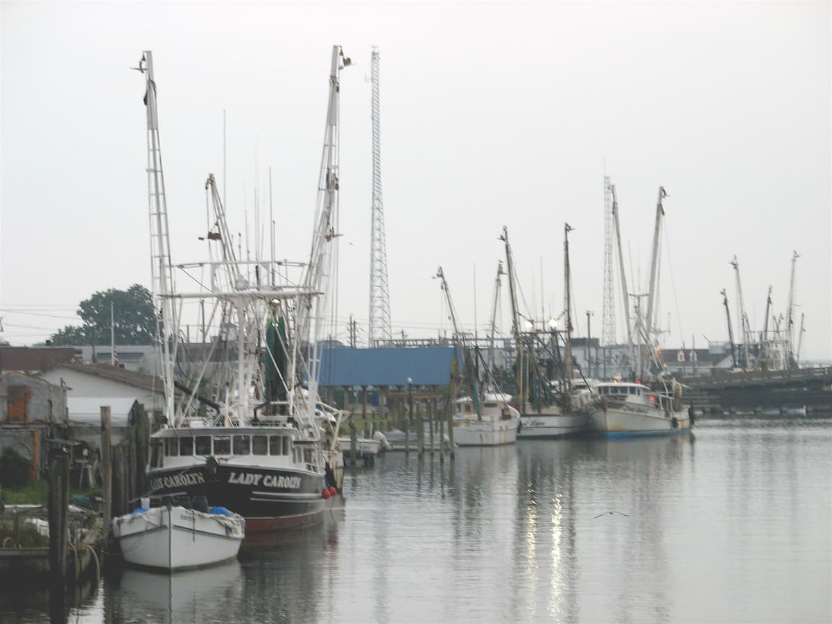 Chincoteague Island, VA